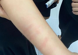 Suspenden a un profesor del conservatorio profesional de danza de Málaga denunciado por propasarse con una menor