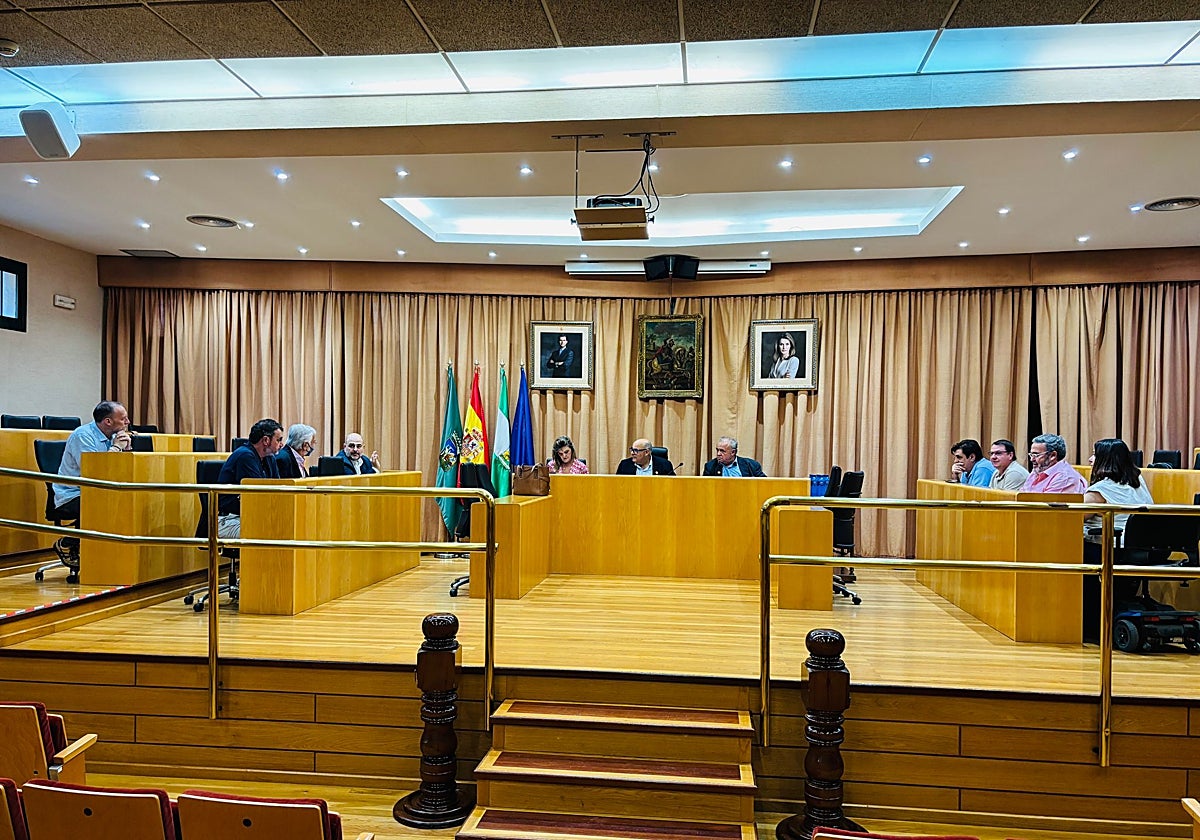 Imagen de la sesión del Consejo Social de Vélez-Málaga celebrada este pasado lunes.