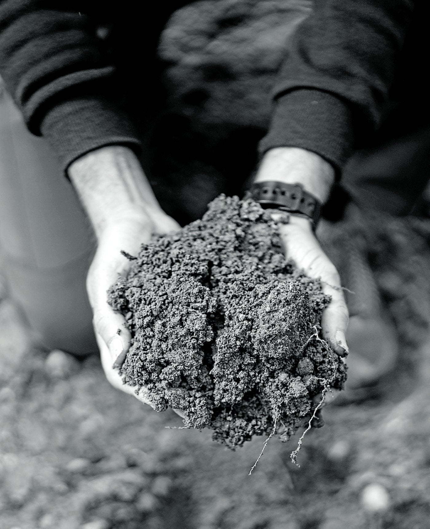 Atrapado por las tierras raras