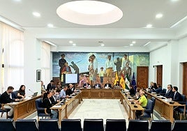 Pleno de la Corporación Municipal de Rincón de la Victoria.