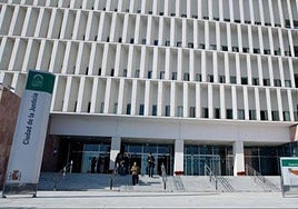 Condenados 16 narcos de dos ramas criminales con base en la provincia de Málaga