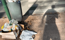 Papeleras a rebosar el pasado fin de semana, además de desperdicios.