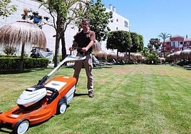 Las mejores ofertas de trabajo del IMFE en Málaga del 3 al 9 de noviembre de 2025