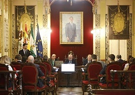 El teniente de alcalde de Hacienda, José Manuel Fernández, exponiendo el proyecto