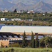 Muere en la cárcel el detenido por el último crimen machista en Málaga a los 84 años