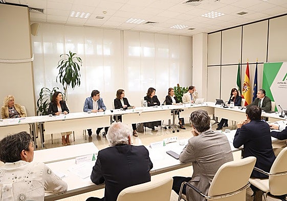 Imagen de la Comisión de Participación y Seguimiento del Plan de Acción de Cribado del Cáncer de Mama.