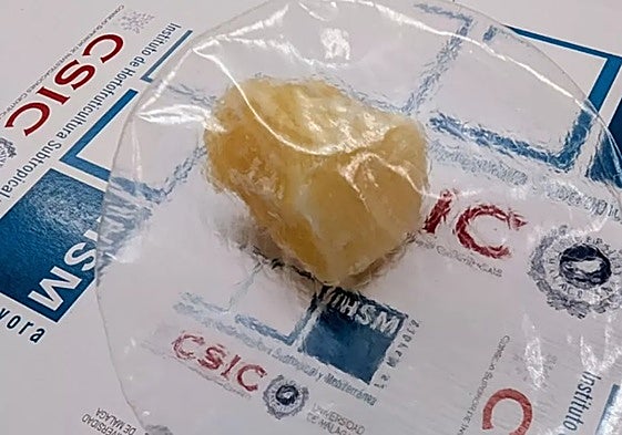 Imagen del material diseñado por los investigadores malagueños.