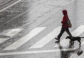 Lluvias «persistentes» desde el viernes en Andalucía, que podrían dejar hasta 100 litros por metro cuadrado