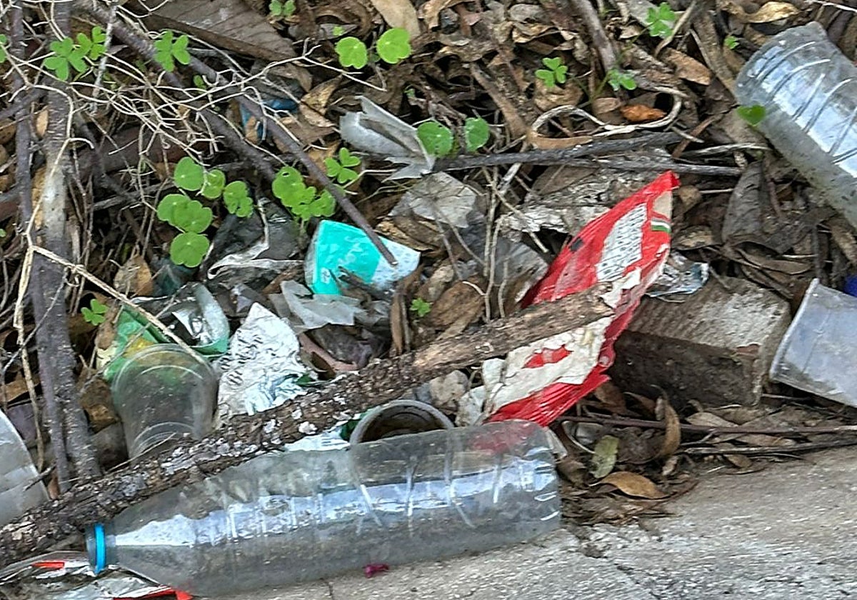 Vista de la basura acumulada en la zona denunciada.