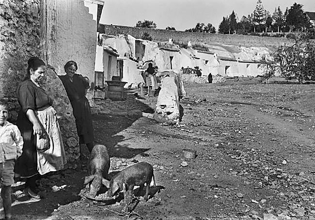 Fondo Roisin. Archivo Histórico Fotográfico. Instituto de Estudios Fotográficos de Cataluña