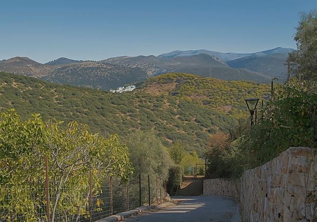 Vista desde Cartajima, donde abundan los castaños centenarios