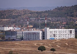 Imagen de archivo de edificios de VPO del Ayuntamiento al oeste del campus de Teatinos.