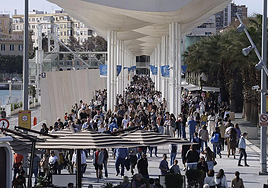 Personas paseando por el Palmeral.