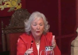 Teresa Porras, en la comisión de Medio Ambiente, que preside.