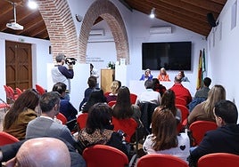 La alcaldesa de Marbella, Ángeles Muñoz, se ha reunido con los directores de los colegios de la ciudad.