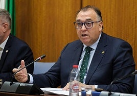Arturo Bernal, en una comparecencia en el Parlamento andaluz.
