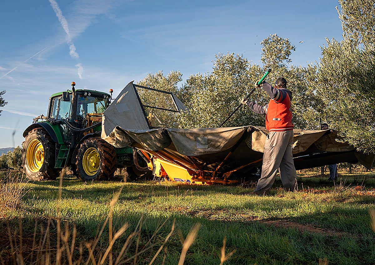 Imagen secundaria 1 - Más imágenes tomadas durante una jornada de trabajo. 