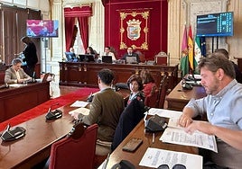 La comisión de pleno de Derechos Sociales.
