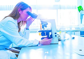 La ley de ciencia potenciará la excelencia y calidad en la innovación e investigación en Andalucía