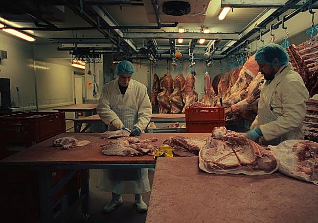 En el matadero: fotograma de 'Frisch'