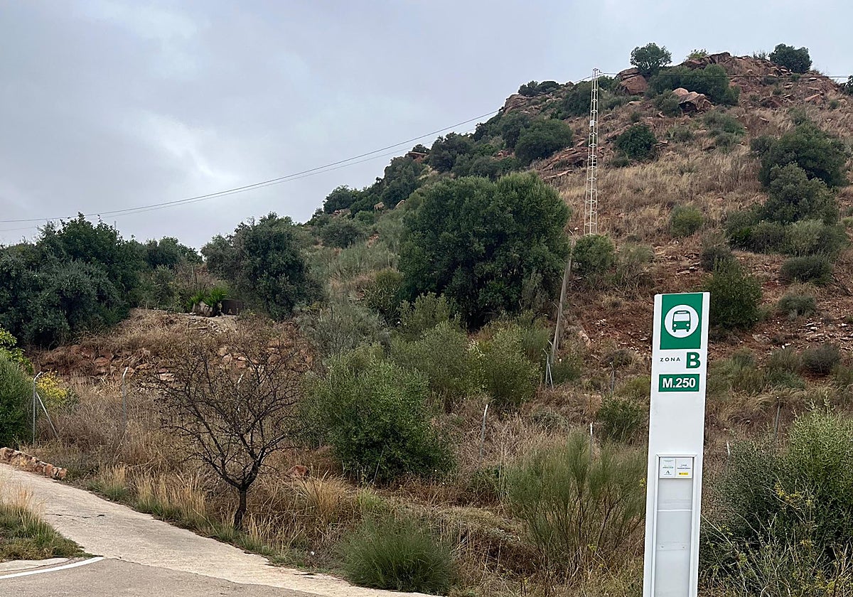 Uno de los nuevos postes instalados en la glorieta El Pandero para señalizar la parada de la ruta interurbana M-250 Málaga–Almogía.
