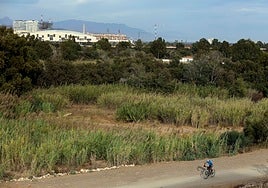Sendero junto al cauce del Guadalhorce del que hacen uso ciclistas y peatones.