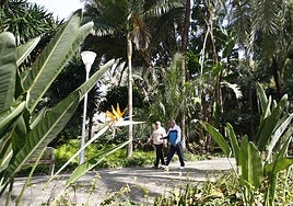 Los parques están incluidos dentro de las zonas de confort climático.