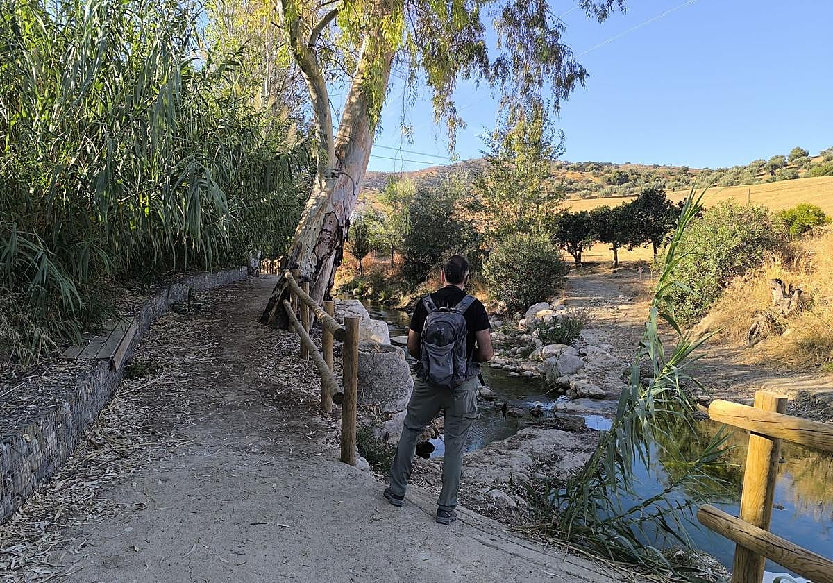 Siete rutas idóneas para hacer con niños este puente de diciembre en Málaga