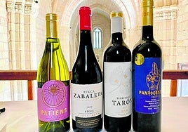 Territorio Tarón: vino y románico riojano