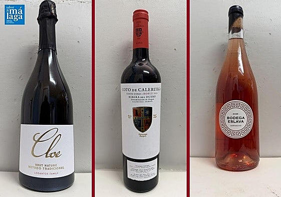 La cata: los vinos recomendados de la primera semana de diciembre