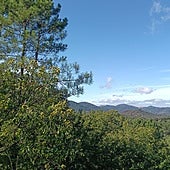 Paisaje forestal en el Parque Natural Sierra de Aracena y Picos de Aroche en la provincia de Huelva.