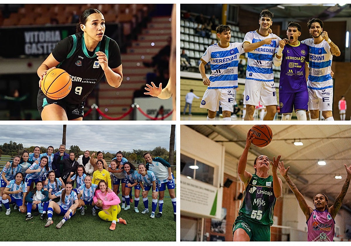 Polideportivo malagueño: Pleno de victorias malagueñas esta jornada