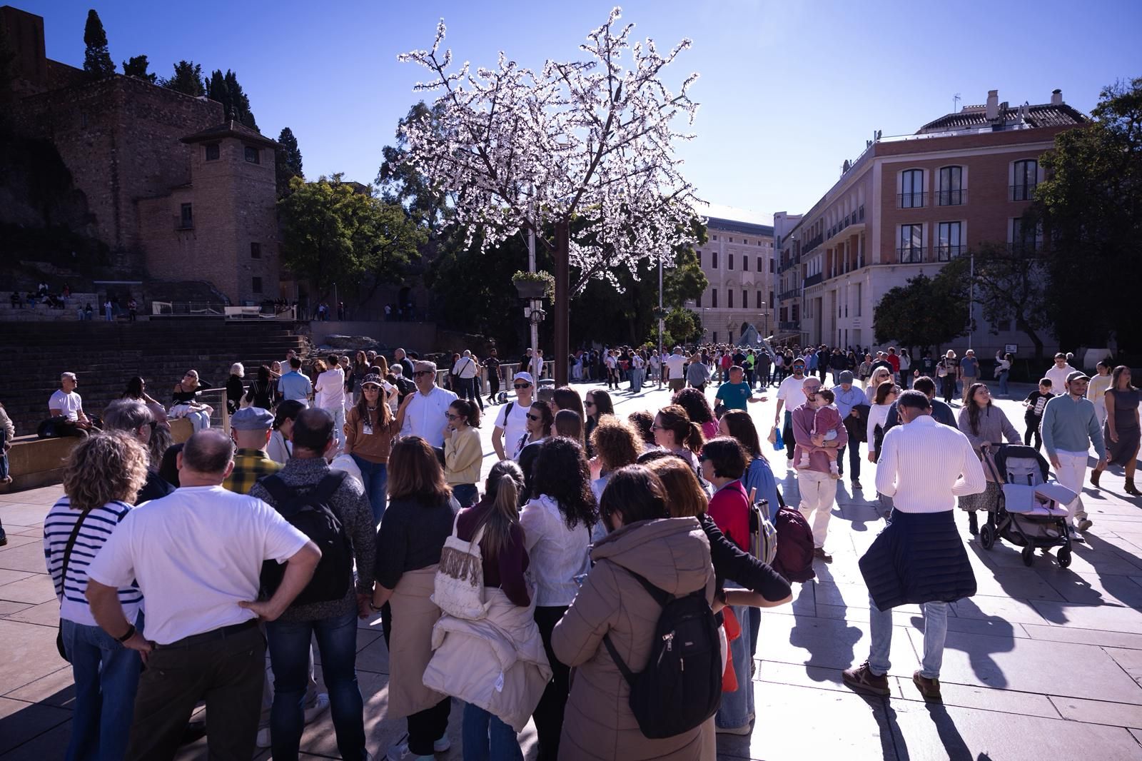 Así lucen las calles de Málaga en el primer fin de semana grande de Navidad: «Mucha gente y mucho calor»