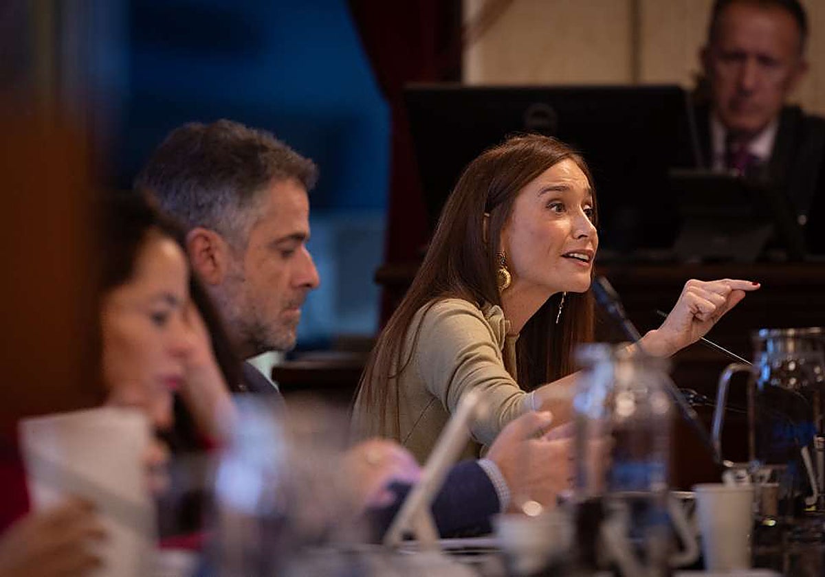 La portavoz popular, Elisa Pérez de Siles, en una intervención en el pleno. Archivo /