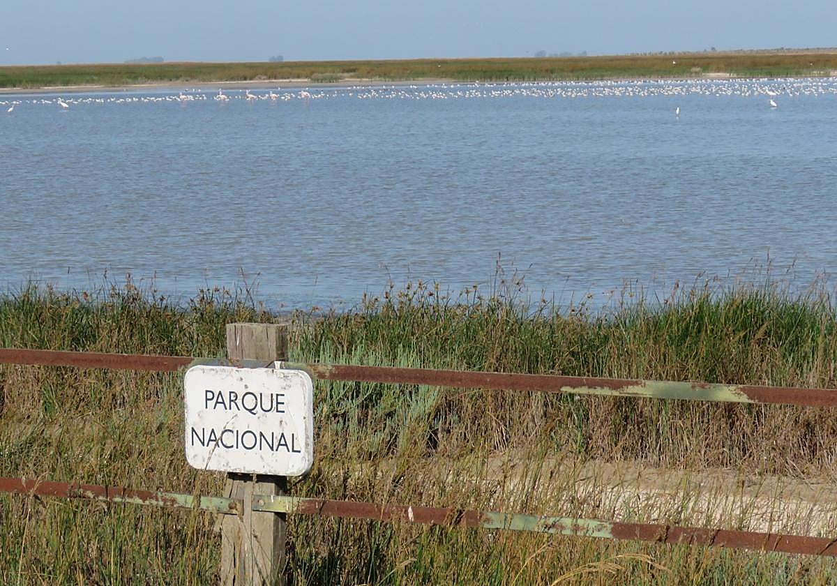Marismas en la zona de Parque Nacional del espacio natural de Doñana.