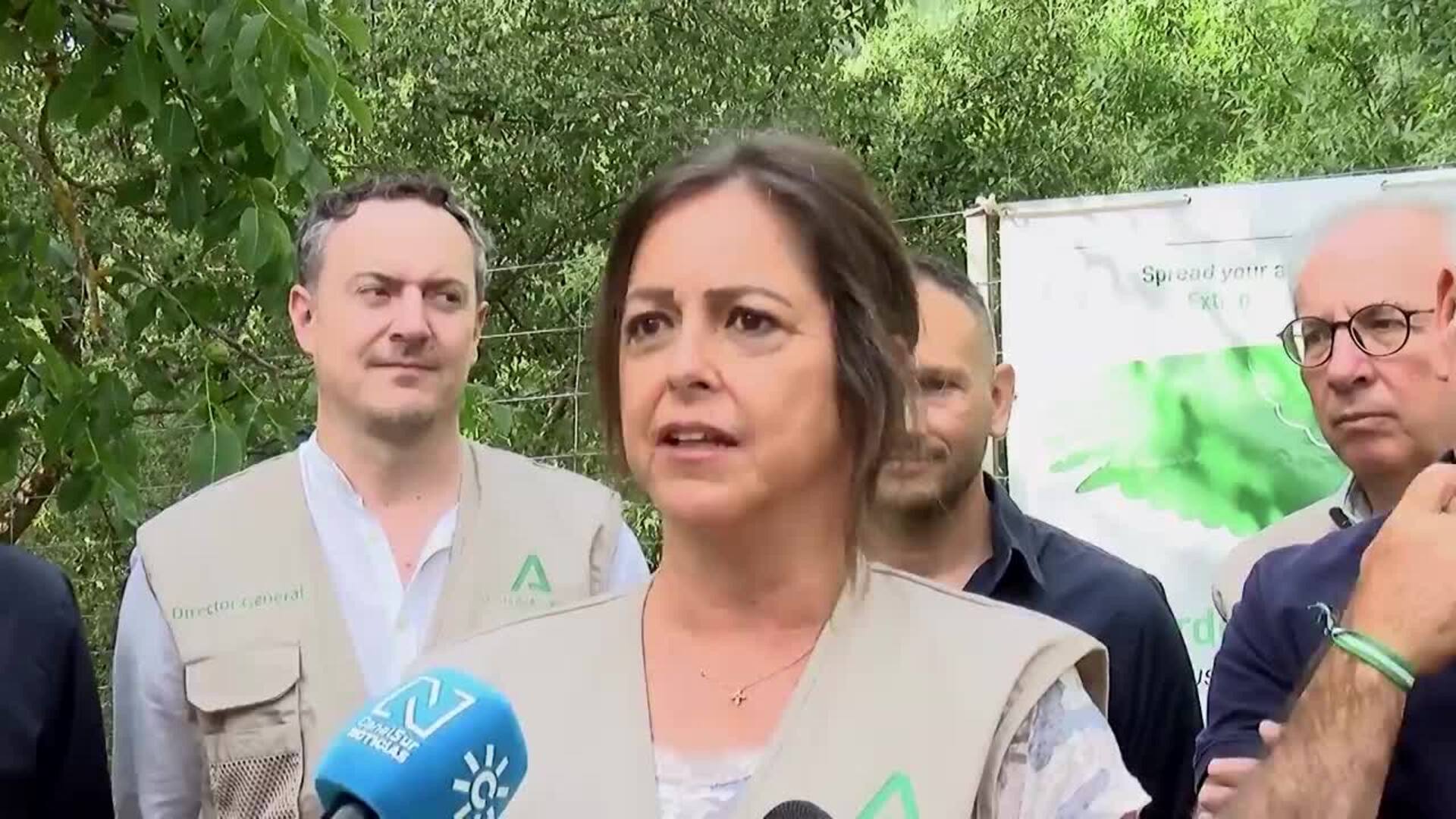 Éxito en la crianza del quebrantahuesos en Andalucía aumenta los nacimientos en libertad