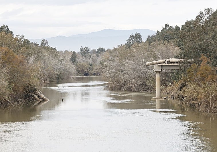 El saneamiento en Guadalmar, arrasado por el mar y por el río