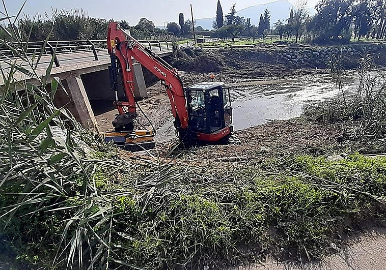 Alhaurín de la Torre aprueba recuperar la vegetación autóctona de sus arroyos
