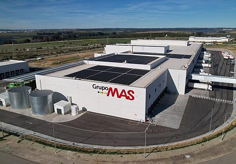 Grupo MAS alcanza los 730 millones de euros en 2025 y genera 350 nuevos empleos