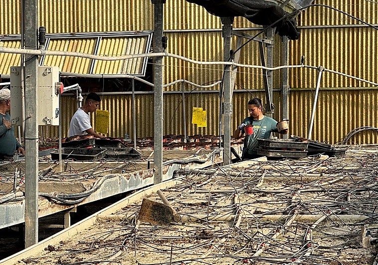 El Secadero trata de reponerse cuatro semanas después de las borrascas