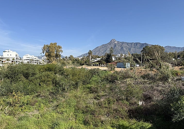 Luz verde a la construcción de 25 VPO en Arroyo Palomeras y a dos proyectos de desarrollo en San Pedro