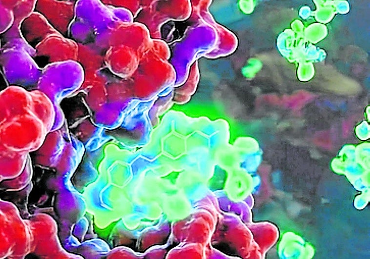 Telefónica, Vithas y la UFV aplican computación cuántica en la lucha contra el cáncer