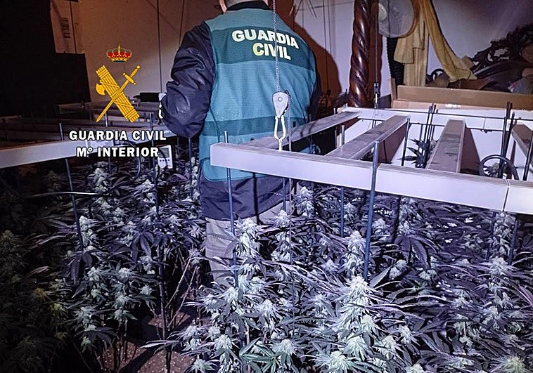 Golpe al cultivo ilegal de cannabis en la Axarquía: dos detenidos en Arenas