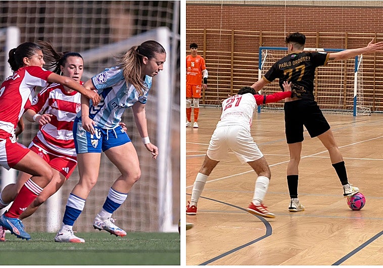 Polideportivo malagueño: Agridulce jornada de domingo para los equipos de la provincia