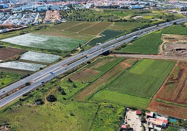 Los productores de tropicales reclaman acelerar la desaladora y un plan hídrico integral en la Axarquía