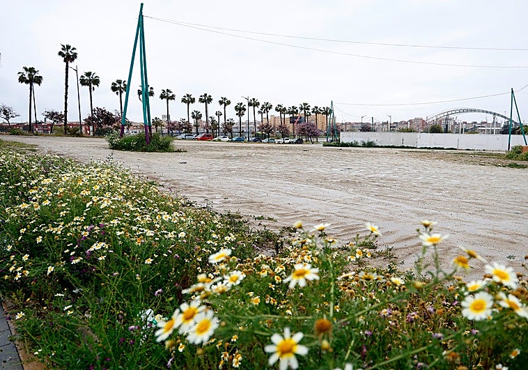 Los propietarios del Movistar Arena de Madrid siguen interesados en construir un gran recinto de conciertos en Málaga
