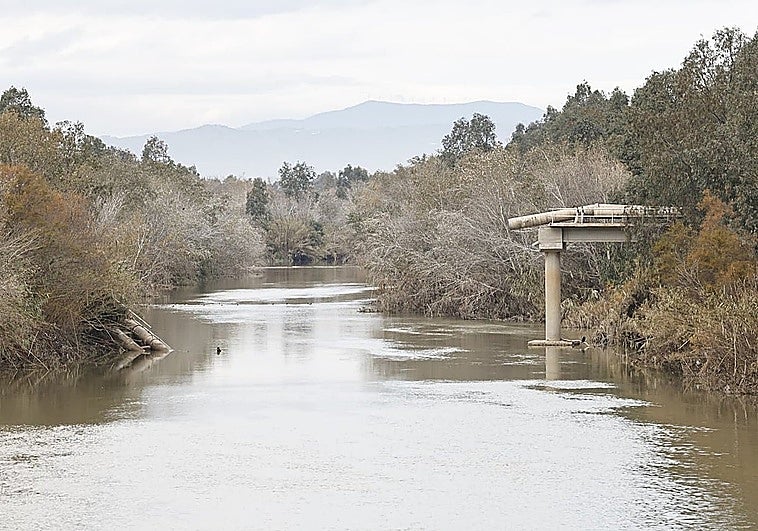 Málaga contrata la tubería que sustituye a la que cayó al río en una borrasca: el baño sigue prohibido en Arraijanal
