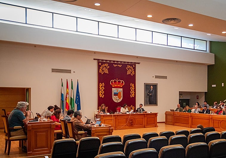 El pleno de Torremolinos reclama que se mantenga la FP para el alumnado con necesidades especiales