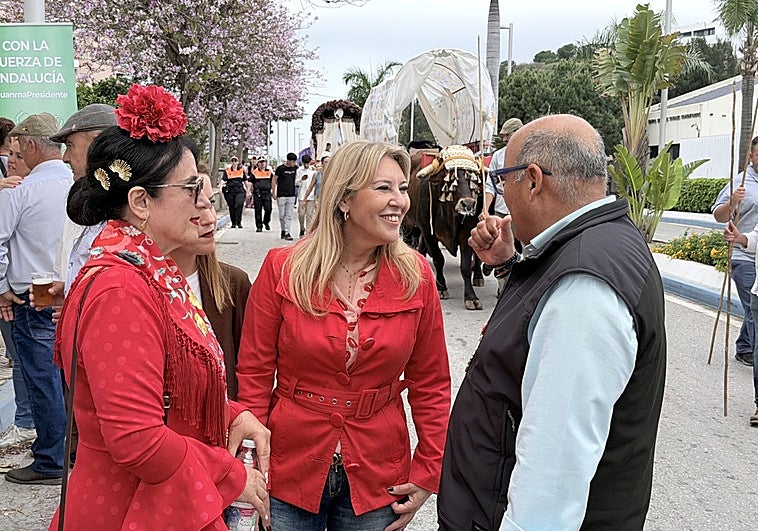 Domingo de campaña en Málaga: mercadillo, libros y romería