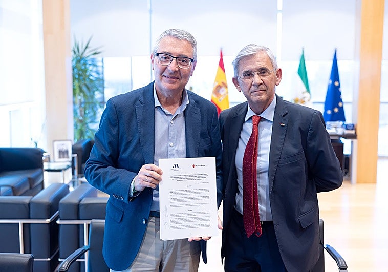 Volontärer kommer att samarbeta i produktion och återplantering av spanska granar i Sierra de las Nieves